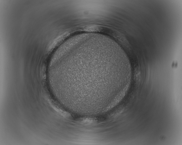 X0000115300303200911161704