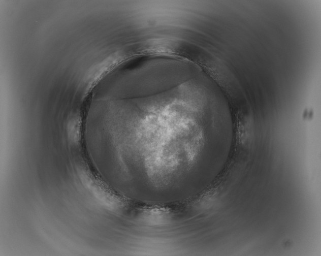 X0000115300304200911161704