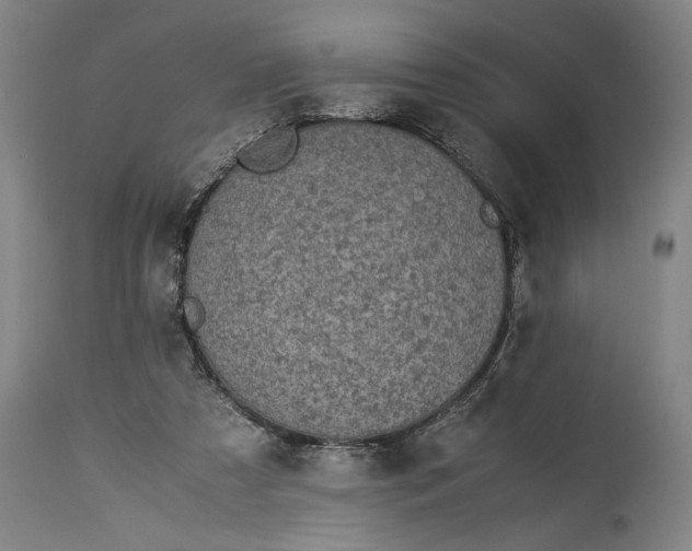 X0000115300305200911161704