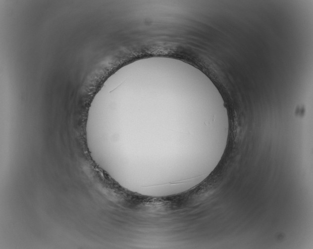 X0000115300307200911161704