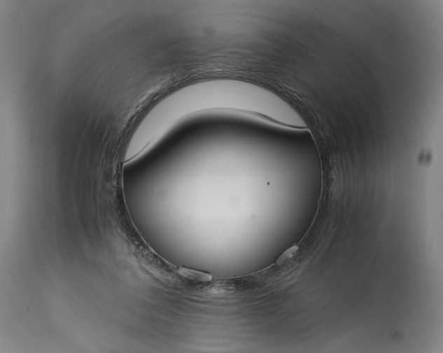 X0000115300308200911161704