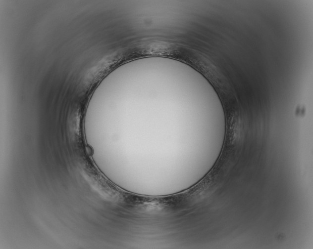 X0000115300310200911161704