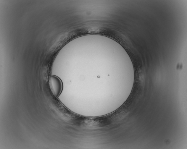 X0000115300311200911161704