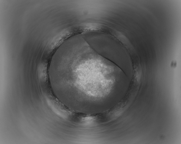 X0000115300312200911161704