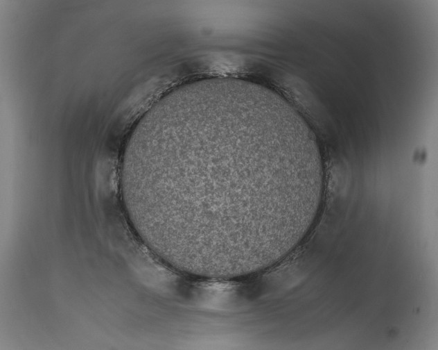 X0000115300313200911161704