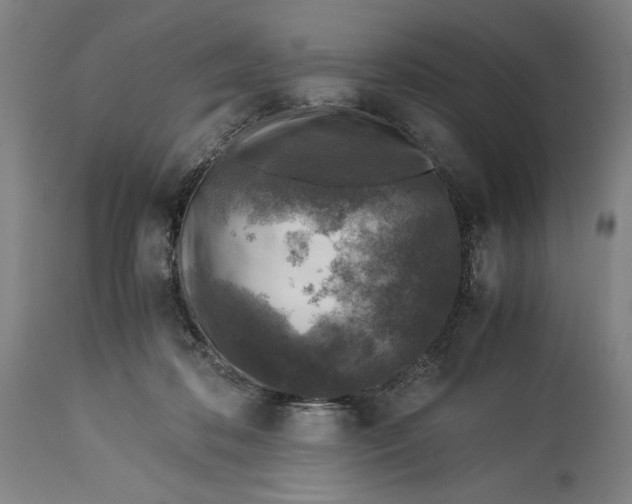 X0000115300316200911161704