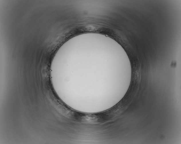 X0000115300317200911161704