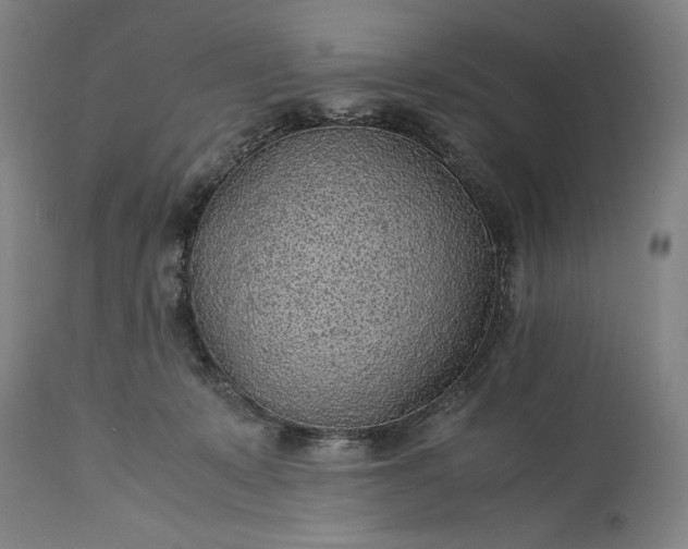 X0000115300319200911161704