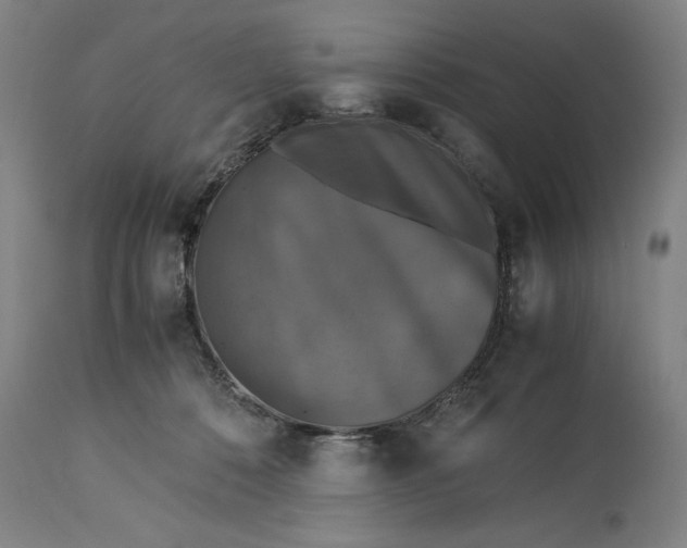 X0000115300320200911161704