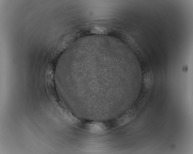 X0000115300322200911161704