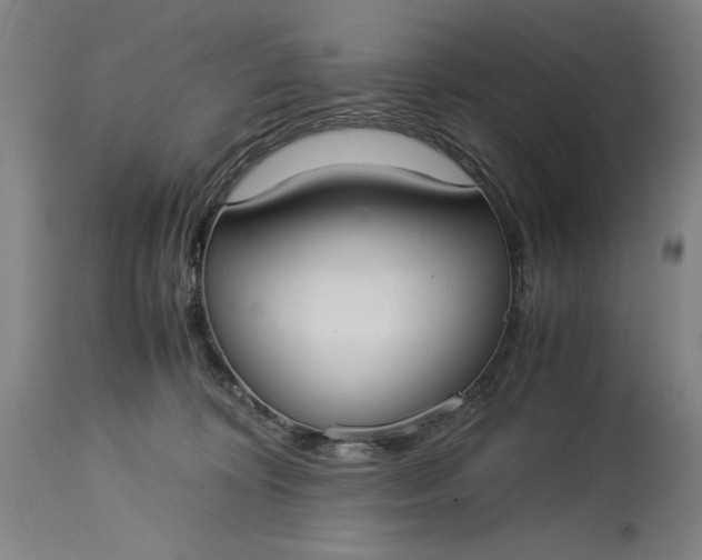 X0000115300324200911161704