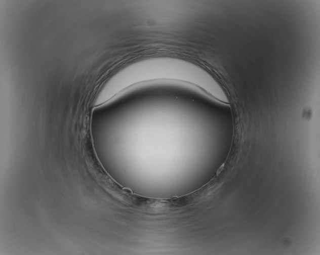 X0000115300325200911161704