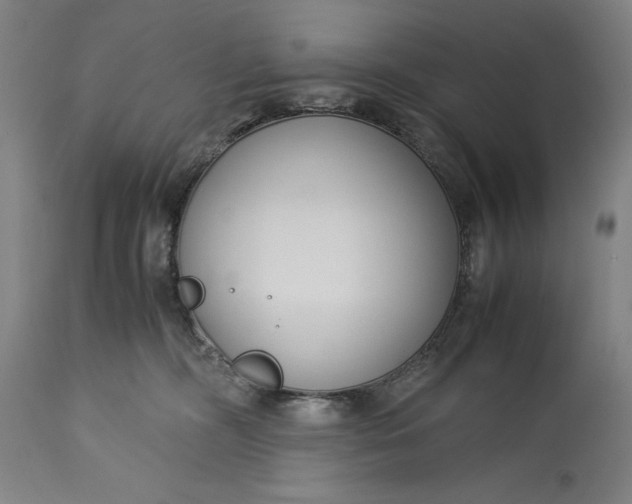 X0000115300326200911161704