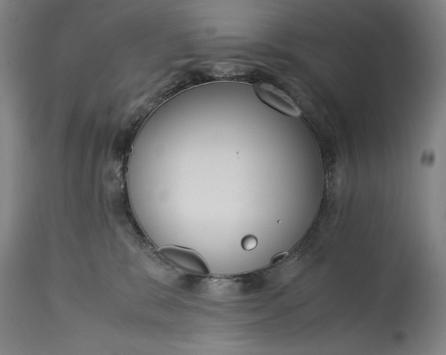 X0000115300327200911161704