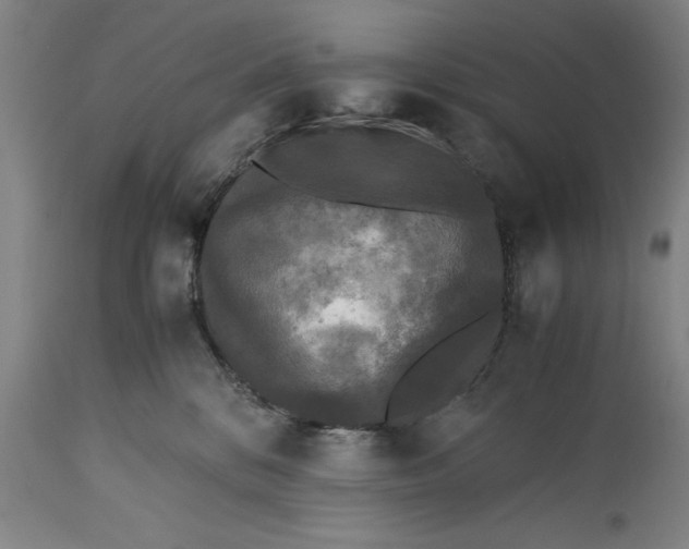 X0000115300328200911161703