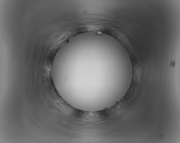 X0000115300329200911161703