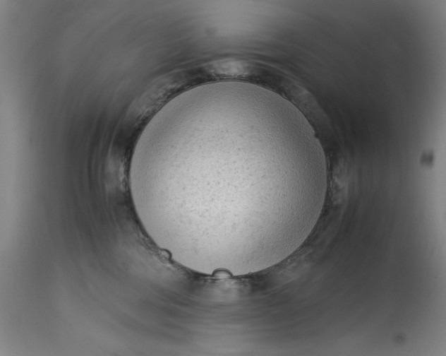 X0000115300330200911161703