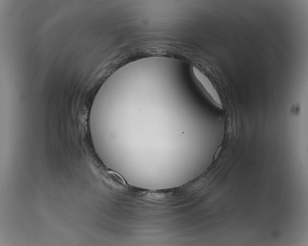 X0000115300332200911161703