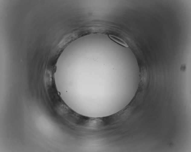 X0000115300333200911161703