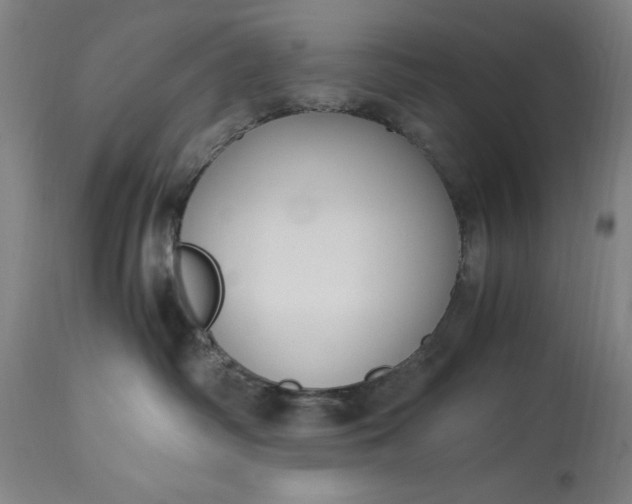 X0000115300334200911161703