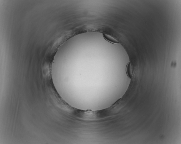 X0000115300335200911161703