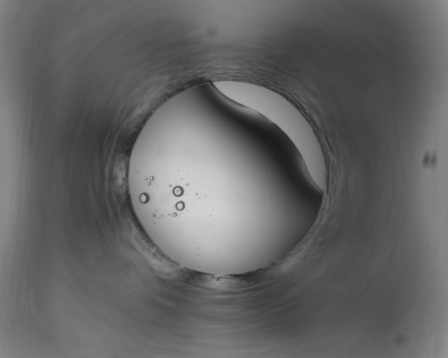 X0000115300336200911161703