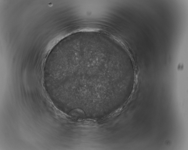 X0000115300337200911161703