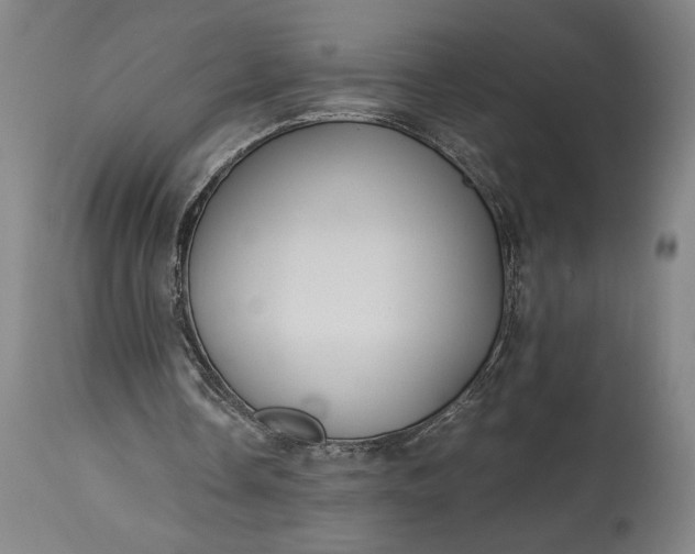 X0000115300338200911161703