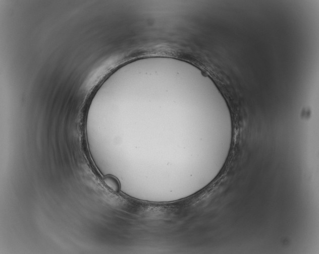 X0000115300341200911161703