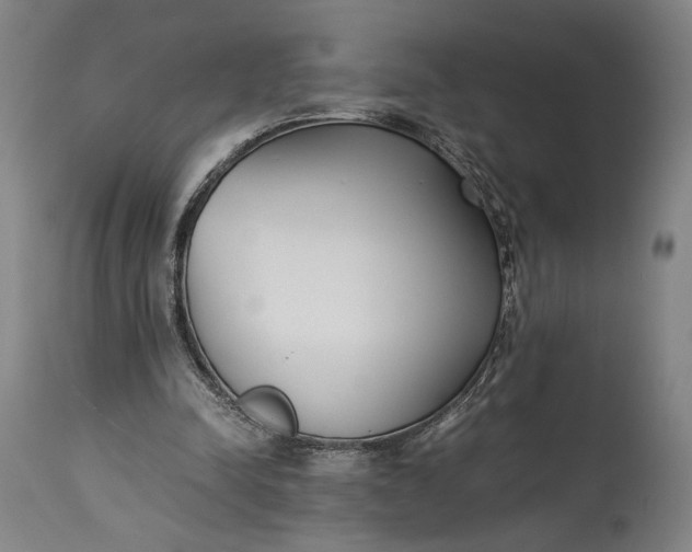 X0000115300342200911161703