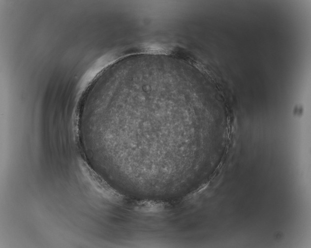 X0000115300343200911161703