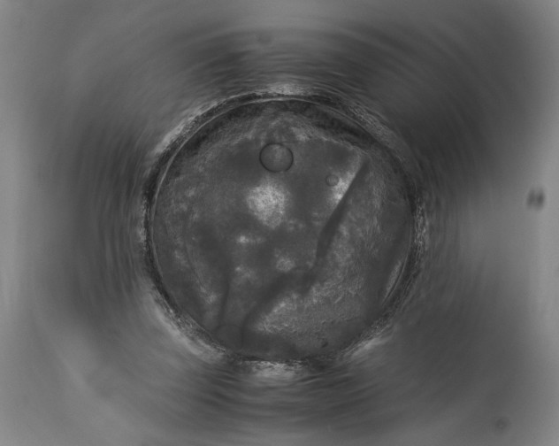 X0000115300347200911161703