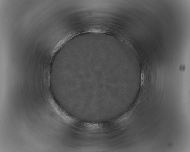 X0000115300349200911161703