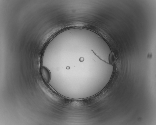 X0000115300350200911161703