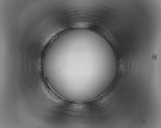 X0000115300351200911161703