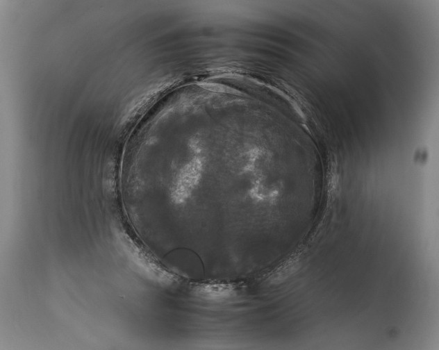 X0000115300353200911161703