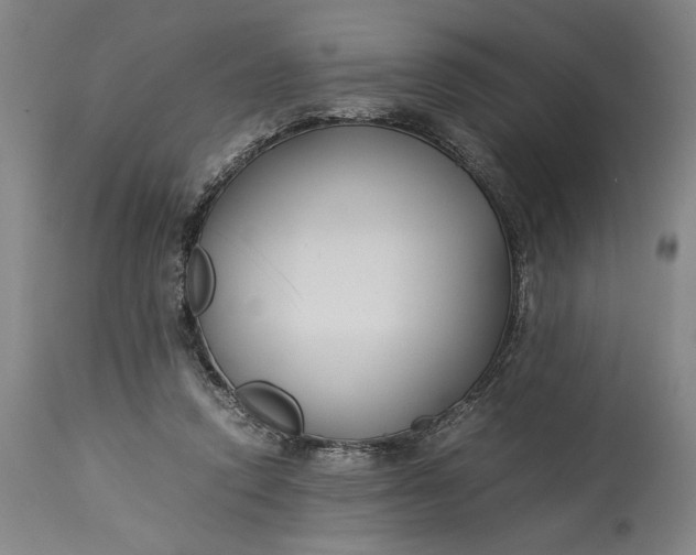 X0000115300354200911161703