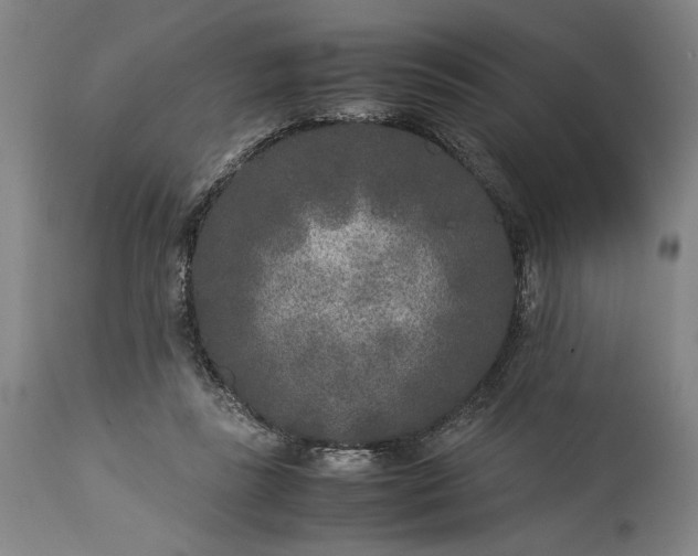 X0000115300355200911161703