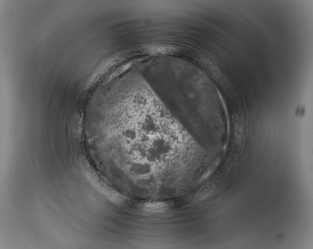 X0000115300357200911161703