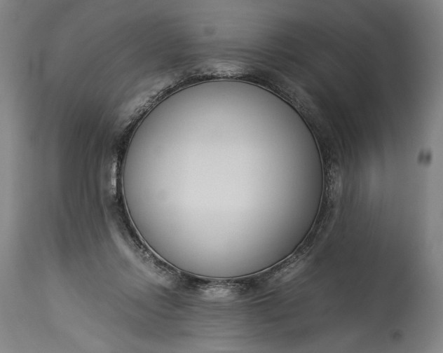 X0000115300358200911161703