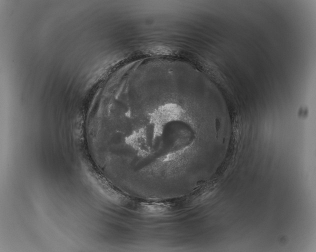 X0000115300359200911161703