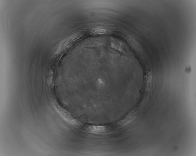 X0000115300361200911161703