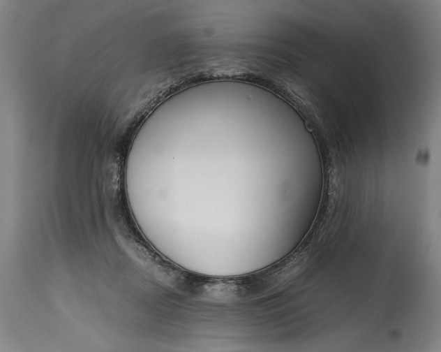 X0000115300362200911161703