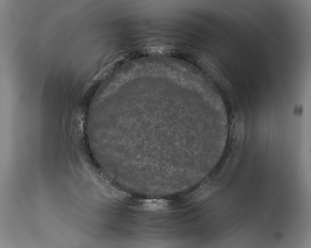 X0000115300363200911161703