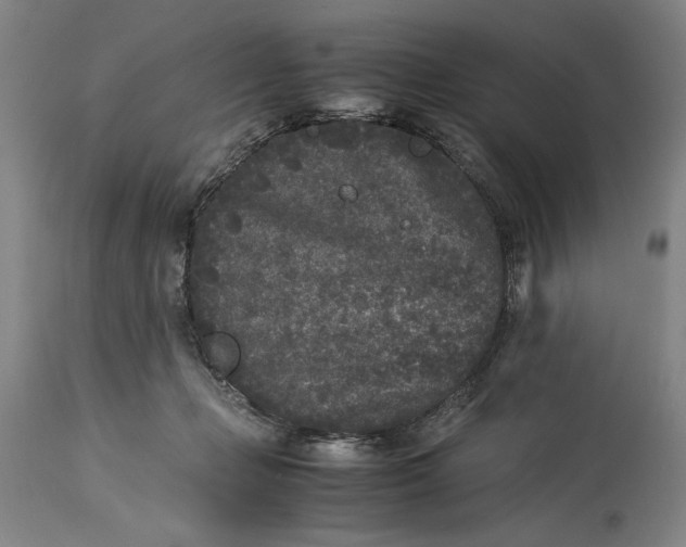 X0000115300365200911161703