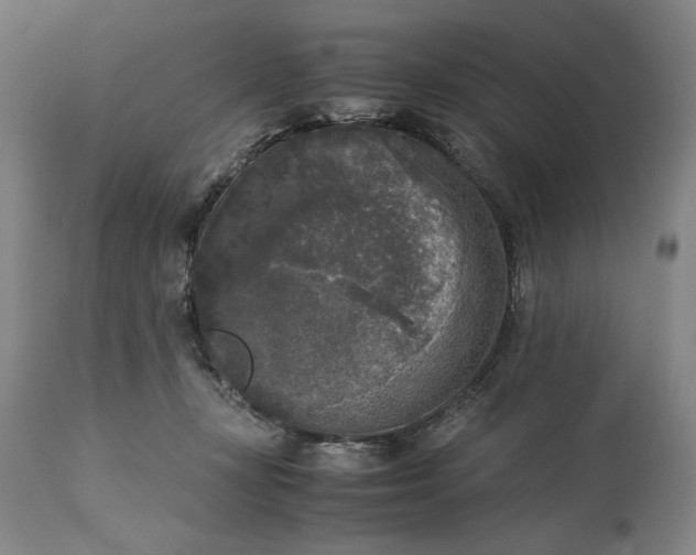 X0000115300367200911161703