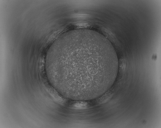 X0000115300369200911161703