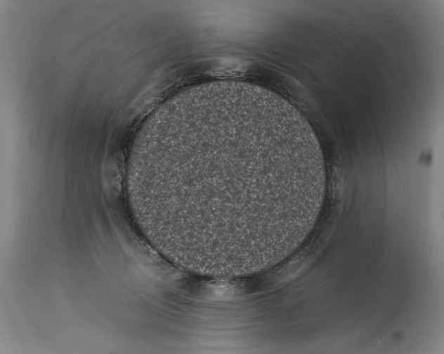 X0000115300370200911161703