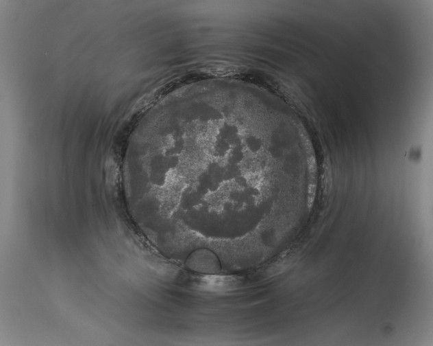 X0000115300371200911161703