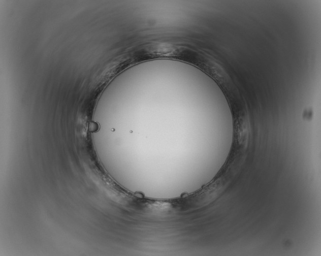 X0000115300374200911161703